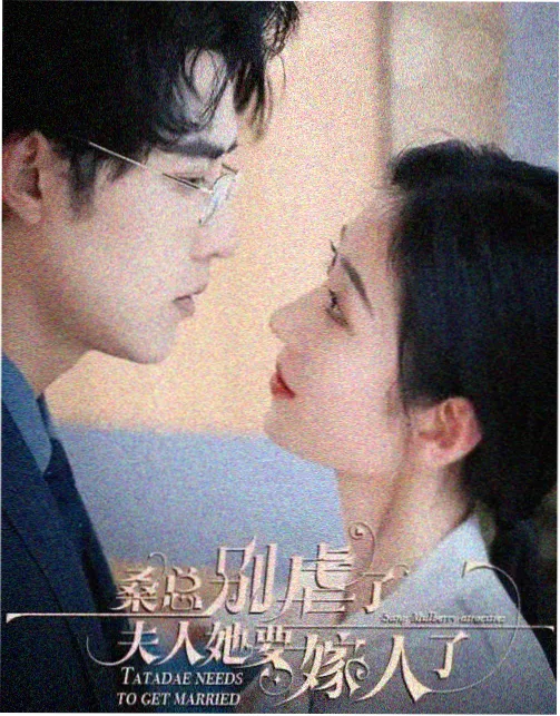 小人物大账本生活剧集在线观看