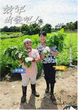 暴富之后纪实综艺在线观看